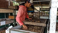 Bermodalkan dana kas RT, Arief dan sejumlah warga pun mulai berternak ikan lele. Sekitar 25 kepala keluarga ikut serta dalam gerakan ini dan bergantian memberi pakan. Kolam ikan lele menggunakan rumah yang tidak terpakai. Saat panen, ikan lele itu dibagikan kepada warga sekitar. 