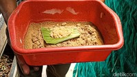 Di tengah perjalanan, kebutuhan pakan cukup menguras keuangan. Sebuah ide terbesit untuk membudidaya maggot sebagi pengganti pakan ikan lele.