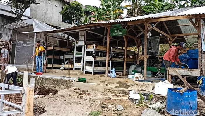 Giat Warga Cimahi Raup Cuan Lewat Budidaya 'Pasukan Pelahap Sampah' Giat Warga Cimahi Raup Cuan Lewat Budidaya 'Pasukan Pelahap Sampah'