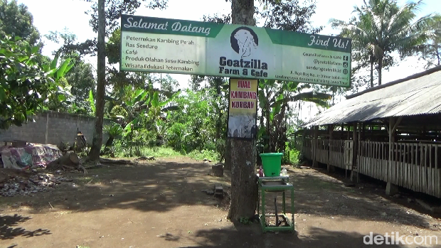 Goatzilla farm