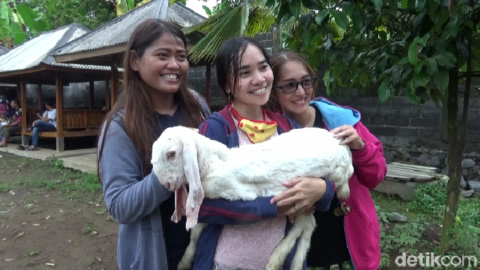 Goatzilla farm