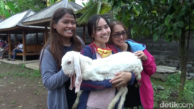 Goatzilla farm