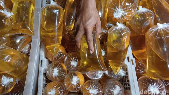 Harga Minyak Goreng di Pasar Banjaran Masih Tinggi Pantauan detikcom, di Pasar Banjaran Kabupaten Bandung, Rabu (2/2/2022), para pedagang masih menjual minyak goreng dengan harga yang begitu tinggi. Bahkan dari stok pun masih menggunakan yang awal Januari 2022.