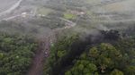 Hutan Amazon Menghitam Tercemar Tumpahan Minyak