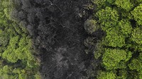 Tumpahan minyak yang terjadi di Ekuador timur dilaporkan telah mencapai kawasan hutan lindung Amazon.  