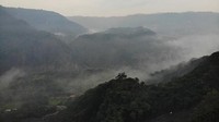 Seperti kita ketahui hutan Amazon adalah taman seluas sekitar 400.000 hektare. Hutan ini adalah rumah bagi berbagai macam spesies.  