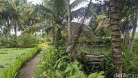Rimbunya taman sangat terasa dengan udara pegunungan yang sejuk dan angin yang semilir.