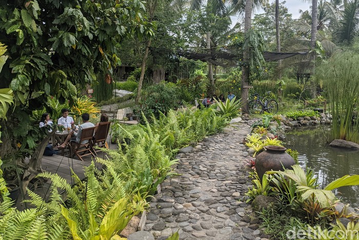 Kopi Mpat, Tak Cuma Ngopi dan Makan, Oke Juga Buat Healing Di bawah nyiur pohon kelapa, di kepung area persawahan dan empang ikan. Diantar jalan setapak dan disuguhi kekayaan makanan lokal. Sensasi itu hanya sebagian dari cerita di Magelang, tepatnya di Kopi Mpat.