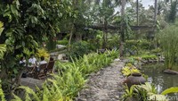 Jalan setapak mengantarkan pengunjung memasuki Kopi Mpat, Magelang. Kendaraan diparkir sekitar 100 meter dari lokasi sehingga suasana segar sangat terjaga.