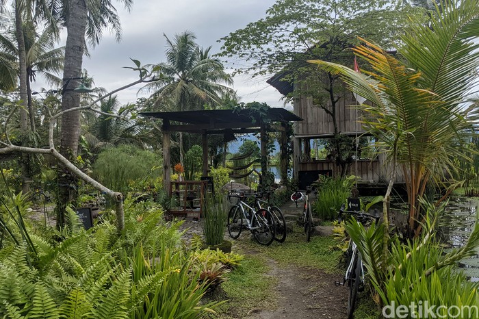 Kopi Mpat, Tak Cuma Ngopi dan Makan, Oke Juga Buat Healing Di bawah nyiur pohon kelapa, di kepung area persawahan dan empang ikan. Diantar jalan setapak dan disuguhi kekayaan makanan lokal. Sensasi itu hanya sebagian dari cerita di Magelang, tepatnya di Kopi Mpat.