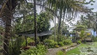 Di bawah nyiur pohon kelapa, di kepung area persawahan dan empang ikan. Diantar jalan setapak dan disuguhi kekayaan makanan lokal. Sensasi itu hanya sebagian dari cerita di Magelang, tepatnya di Kafe Mpat. 