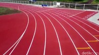Bupati Garut Rudy Gunawan sendiri sebelumnya menyatakan stadion dengan rumput impor ini akan berkapasitas 14 ribu penonton. Namun, Luna mengkonfirmasi kapasitas tribun Stadion RAA Adiwijaya sebesar 12 ribu penonton. 