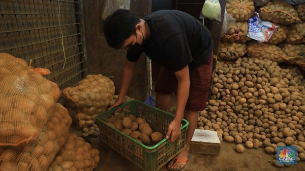 Pedagang kentang di Pasar Induk Keramat Jati, Jakarta, Rabu, (2/2/2022) (CNBC Indonesia/Muhammad Sabki)
