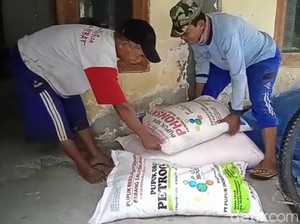 Jeritan Petani di Madiun Kekurangan Pupuk Subsidi