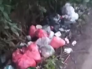 Viral Tumpukan Sampah di Depok Bikin Resah Warga, Pemkot Buka Suara