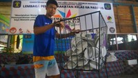 Produksi tersebut merupakan bagian dari program kemandirian produktif yang terus ditingkatkan sebagai upaya dari pembinaan terhadap warga binaan. (Iggoy el Fitra/Antara)