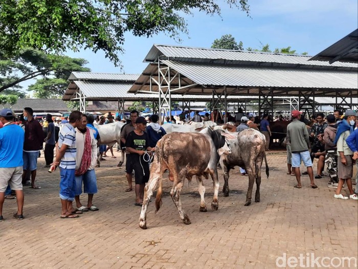 Suasana di Pasar Hewan Siyono, Gunungkidul, Rabu (2/2/2022).