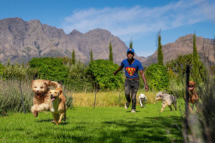 Superwoof Dog Hotel