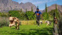 Fasilitas mewah lainnya adalah jalan-jalan di pedesaan mewah di lembah Franschhoek. Pedesaan tersebut merupakan kawasan perkebunan anggur Western Cape. (Superwoof Dog Hotel)