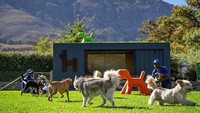 Selagi bermain di taman, pawang anjing akan menemani anjing-anjing. (Superwoof Dog Hotel)