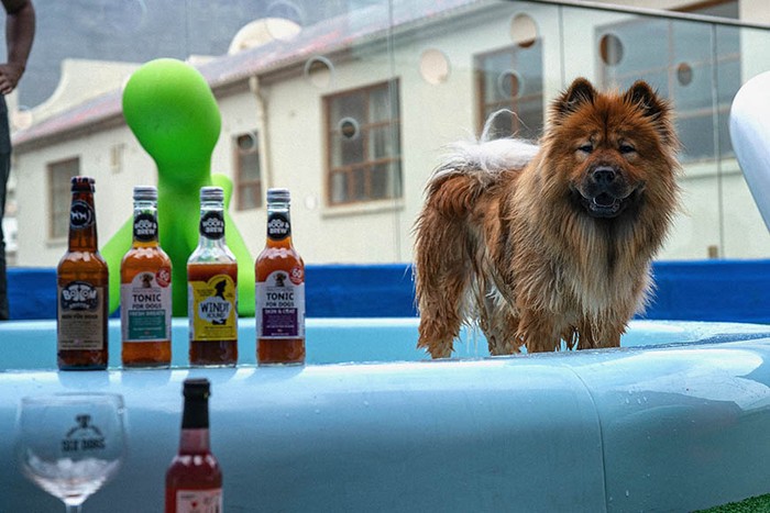 Superwoof Dog Hotel