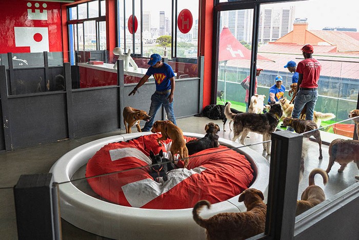 Superwoof Dog Hotel Superwoof Dog Hotel