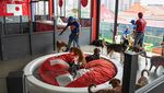 Foto: Hotel Bintang 6 Khusus Anjing yang Kontroversial