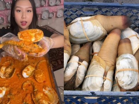 5 Kontroversi Sisca Kohl, Borong Minimarket hingga Cicip Foie Gras