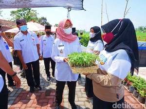 Percepat Pemulihan Ekonomi, Banyuwangi Berdayakan Warga Lewat Sistersay