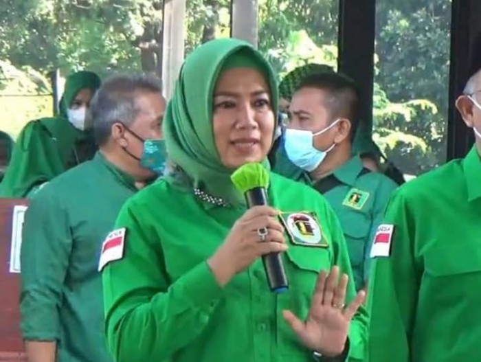 Anggota Fraksi Partai Persatuan Pembangunan (PPP) DPR RI Elly Rachmat Yasin