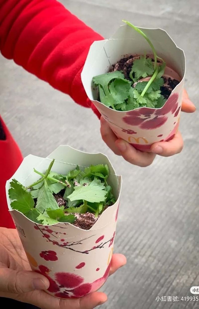 Es Krim Daun Ketumbar Ditawarkan McDonald's China