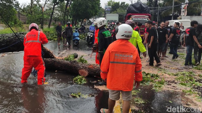 Pohon tumbang dan menimpa sebuah mobil terjadi di Jalan Sunandar Priyo Sudarmo, Kota Malang. Bagian belakang mobil tampak ringsek.