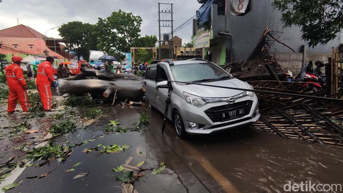 Gegara Angin Kencang Pohon Tumbang dan Timpa Mobil di Malang Pohon tumbang dan menimpa sebuah mobil terjadi di Jalan Sunandar Priyo Sudarmo, Kota Malang. Bagian belakang mobil tampak ringsek.