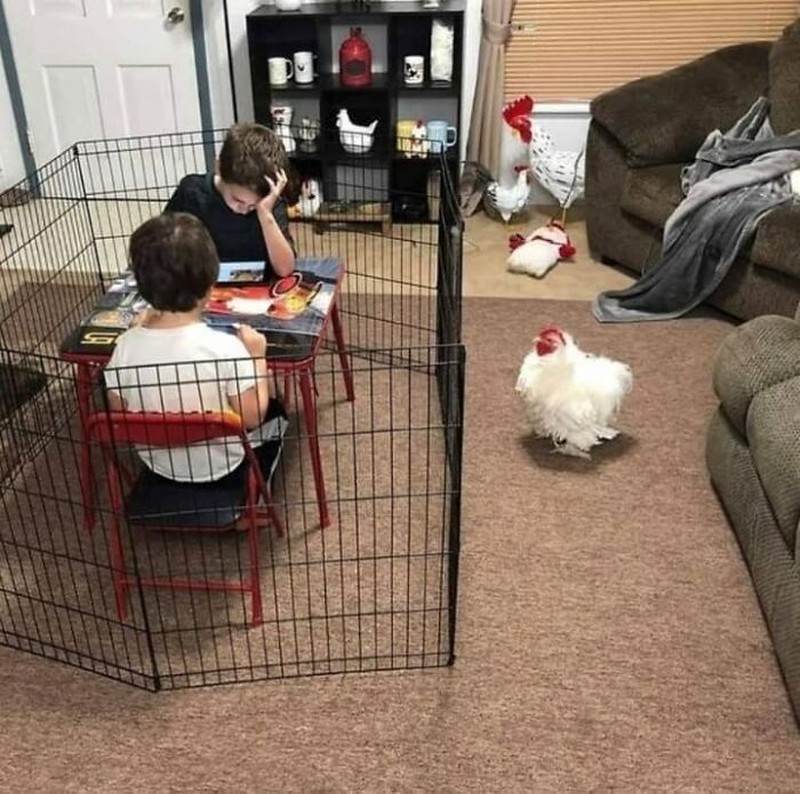 Kelakukan manusia kadang suka bikin ketawa dan geleng-geleng kepala. Seperti beberapa foto ini.