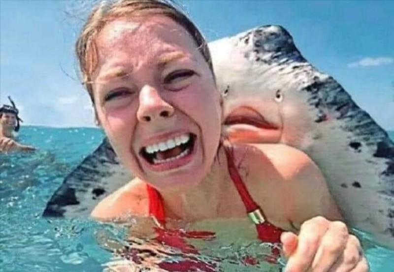 Kelakukan manusia kadang suka bikin ketawa dan geleng-geleng kepala. Seperti beberapa foto ini.