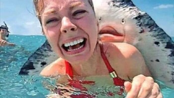 Uuuh tatut! Foto: Humansdoinghumanthings via Bored Panda