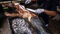 Seorang pekerja memotong daging buaya panggang untuk disajikan kepada pengunjung di Malai Farm. Secara tradisional buaya dipelihara terutama untuk diambil kulitnya. Dedangkan dagingnya dikonsumsi oleh pasar khusus. Namun, minat daging buaya sebagai sumber protein alternatif di Thailand semakin meningkat karena melonjaknya harga daging babi akibat kelangkaan stokpada masa wabah AFS (African Swine Fever).