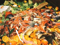 Indonesia Darurat Sampah Makanan Hampir 50 Juta Ton, Ini Akar Masalahnya