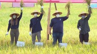 Bayer melalui program Better Life Farming berupa pendampingan teknis agronomi berhasil membawa petani di wilayah ini merayakan panen padi yang mencapai 9,7 ton per hektar.