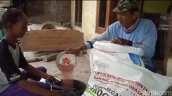 Ada Kabar Baik buat Petani soal Harga Pupuk, Buruan Cek di Sini!