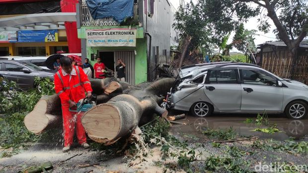 pohon tumbang timpa mobil