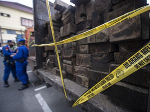 Lelang Kayu Ilegal, Kejari Perak Surabaya Raup Untung Rp 2,14 M