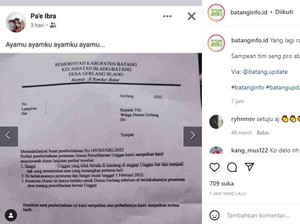Ada Aturan Unik Ayammu Ayamku di Gerlang Batang, Begini Isinya