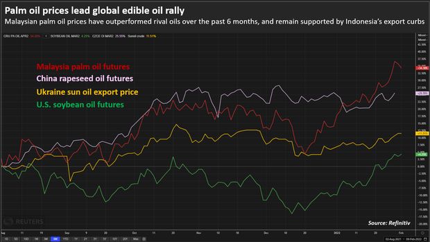 Harga minyak Nabati Global