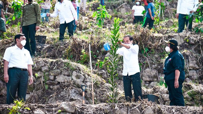 Presiden Jokowi saat melakukan penanaman pohon di Danau Toba bersama jajaran Menteri, Kamis (3/2/2022).