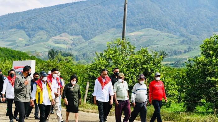 Jokowi Tinjau Kampung Jeruk di Karo