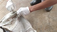 Hal bermula, saat pemilik hendak mengirim paket tujuan Cirebon melalui jasa ekspedisi Lion Parcel, dengan menyebutkan isi paket alat dekorasi. Ketika melalui mesin x-ray cargo terlihat reptil.
