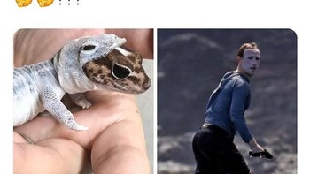 Kebanyakan baca konspirasi lizard people, nih detikers. Foto: Screenshot Twitter via Knowyourmeme