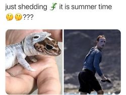 10 Meme Mark Zuckerberg Pakai Sunscreen Ketebelan