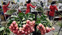 Pekerja mengklasifikasikan mawar untuk dikirim ke AS menjelang Hari Valentine. Hari kasih sayang di AS menjadi hari libur terbesar untuk pemesanan bunga.